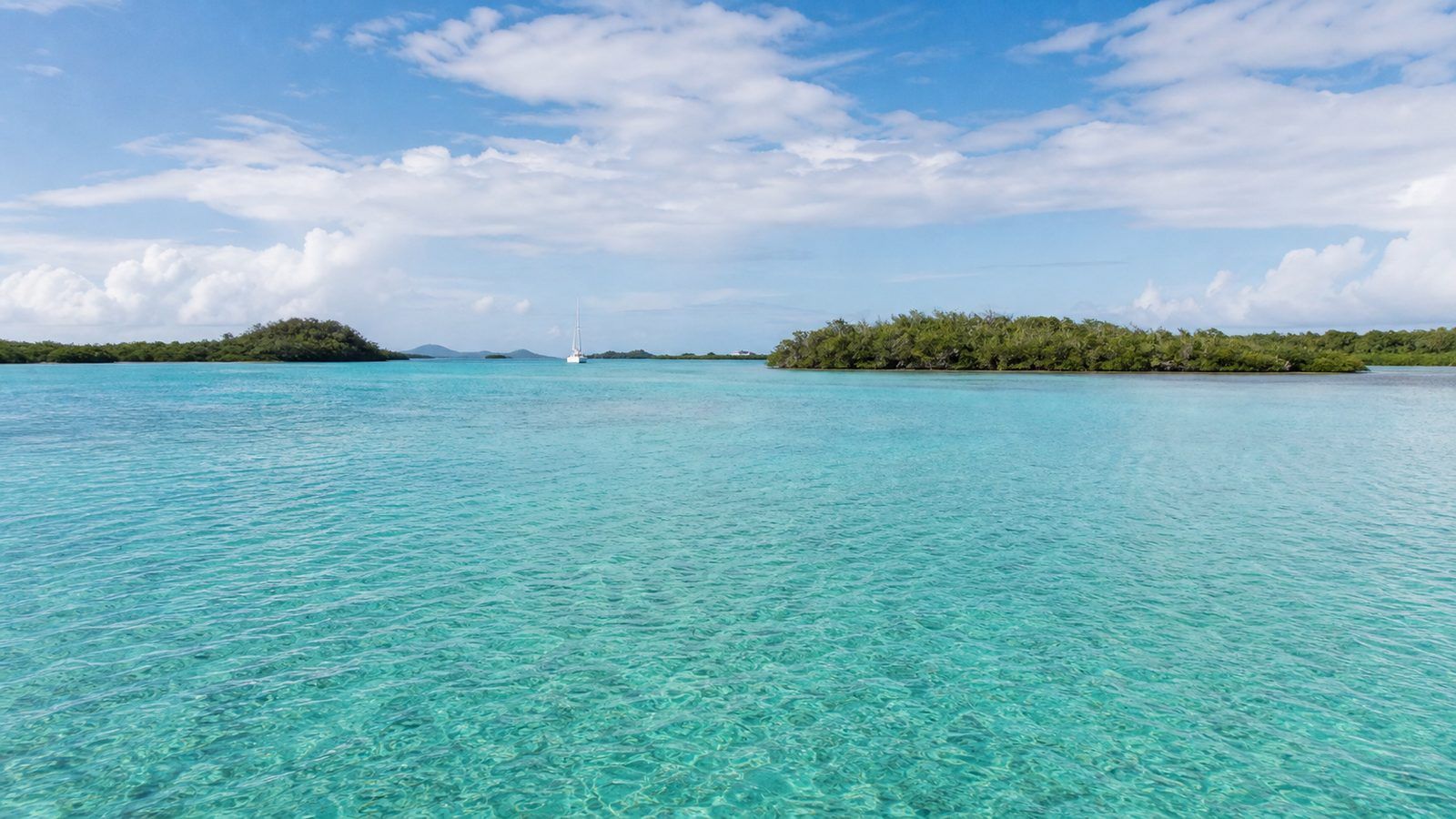 Quartier, îlets et pointe du Carénage en Guadeloupe