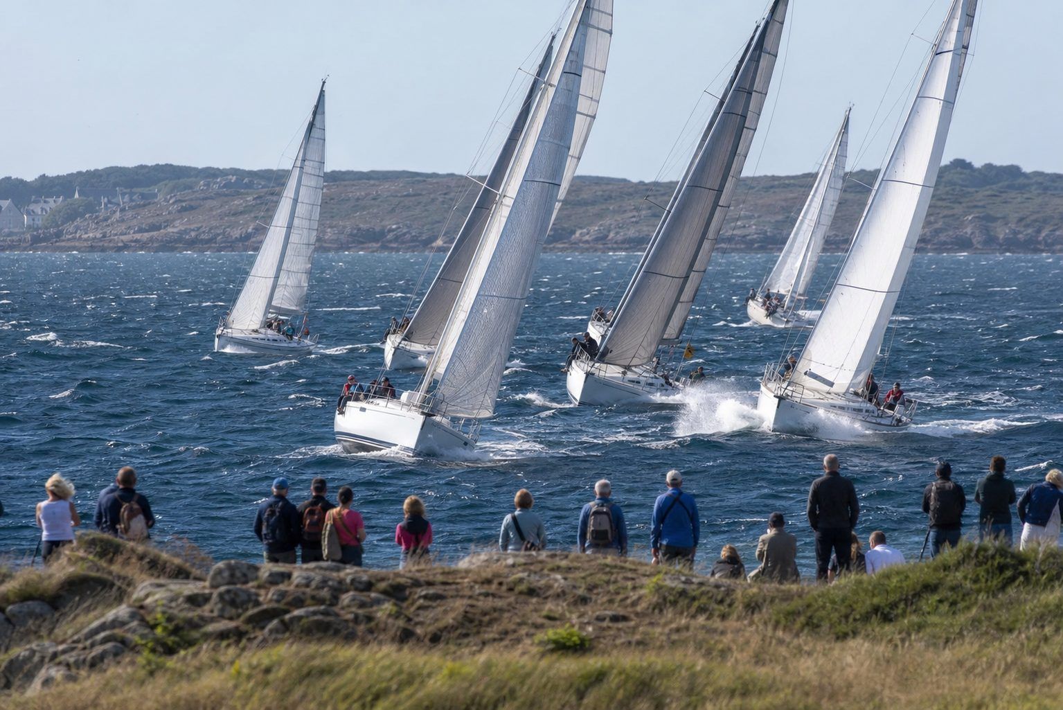Régates et courses à la voile : comprendre les formats
